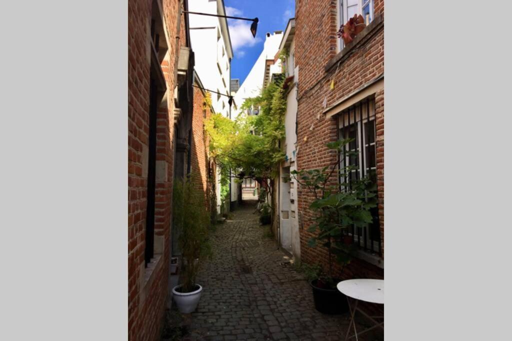 En Plein Coeur De Bruxelles. Superbe Duplex.A Voir! ภายนอก รูปภาพ