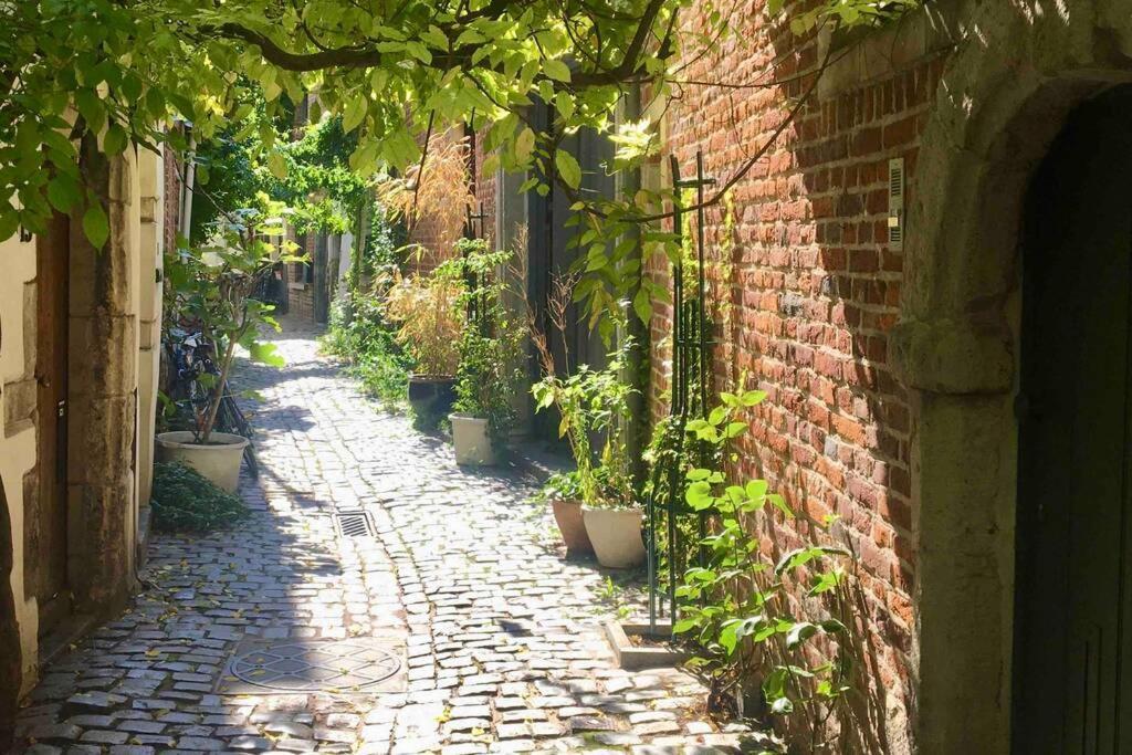 En Plein Coeur De Bruxelles. Superbe Duplex.A Voir! ภายนอก รูปภาพ