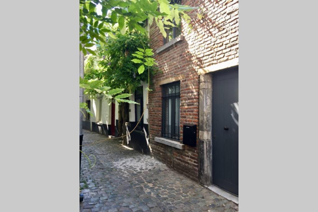 En Plein Coeur De Bruxelles. Superbe Duplex.A Voir! ภายนอก รูปภาพ